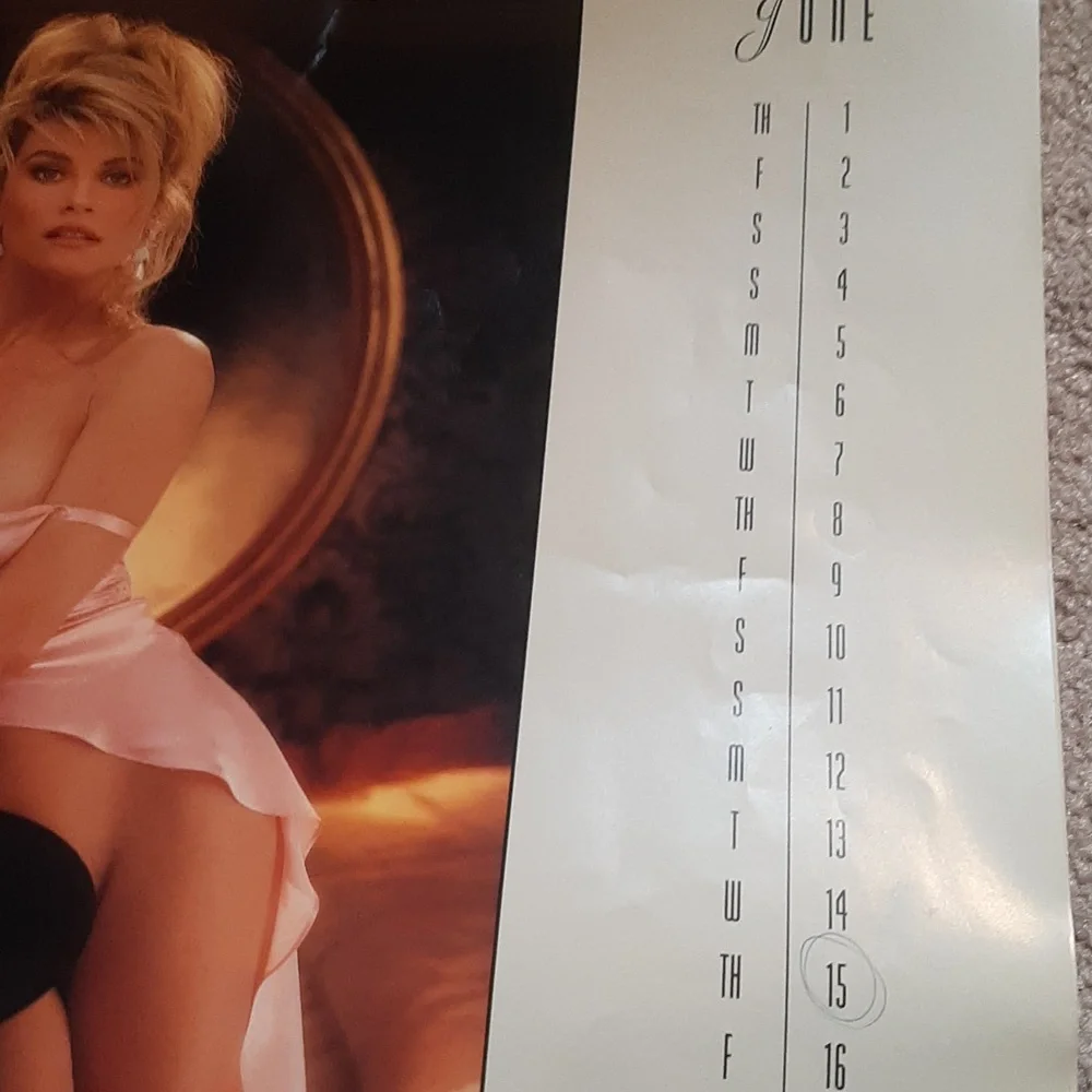 Vtg. 1995 Playboy Calendar - Picture 6 of 8